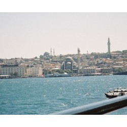 Lomography Color Tiger 110