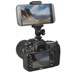 Kaiser Smartphone Stand