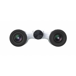 Nikon ACULON T02 8x21 binoculars