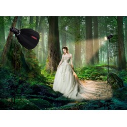 Jinbei HD-400 TTL PRO Monolight