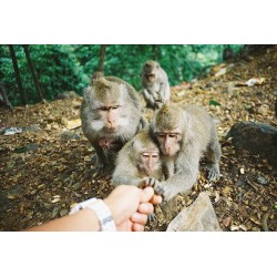 Lomography Color Negative 35mm ISO 400 3 pack