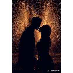 Sony GN46 salamalaite