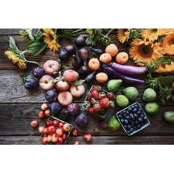 Nikon Z5 + Nikkor Z 24-50mm f/4-6.3 