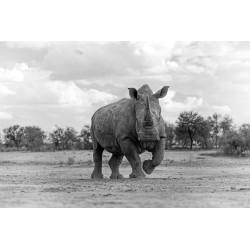 Nikon Nikkor Z 70-200mm f/2.8 VR S