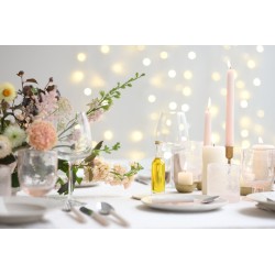 Nikon Nikkor Z 85mm f/1.8 S objective