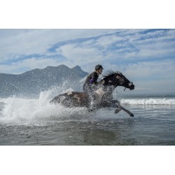 Nikon Z-Nikkor 24-70mm f/2.8 S objektiivi