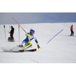 AF-S NIKKOR 180–400mm f/4E TC1.4