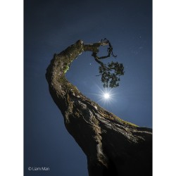 Sony FE 20–70 mm F4 G objektiivi