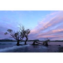 Nikon NIKKOR Z DX 12-28mm f/3.5-5.6 PZ VR lens