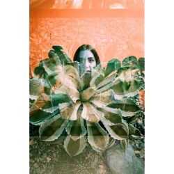 LomoChrome Turquoise 35mm ISO 100–400 värifilmi