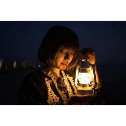 Nikon Nikkor Z DX 24mm f/1.7 objektiivi