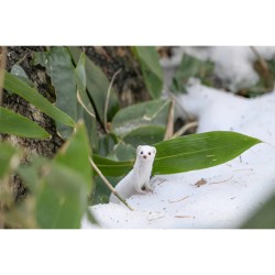 Nikon NIKKOR Z 180-600mm f/5.6-6.3 VR lens