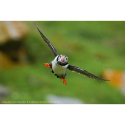 Sony A6700 + 16-50mm f/3.5 – 5.6 PZ OSS