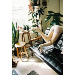 Lomography LomoChrome Color ’92 35mm ISO 400 color film