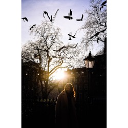 Nikon Z5II + 24-50mm f/4-6.3