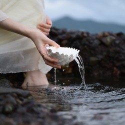 Nikon NIKKOR Z 24-70mm f/2.8 S II lens