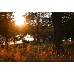 Nikon NIKKOR Z DX 16-50mm f/2.8 VR objektiivi