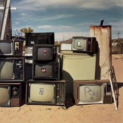 Lomography Color Negative 120 ISO 100 Color Film