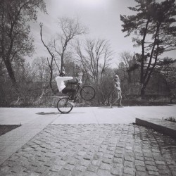 Lomography Lady Grey B&W 120 ISO 400 B&W film - 3 pack