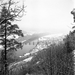 Lomography Lady Grey B&W 120 ISO 400 B&W film - 3 pack