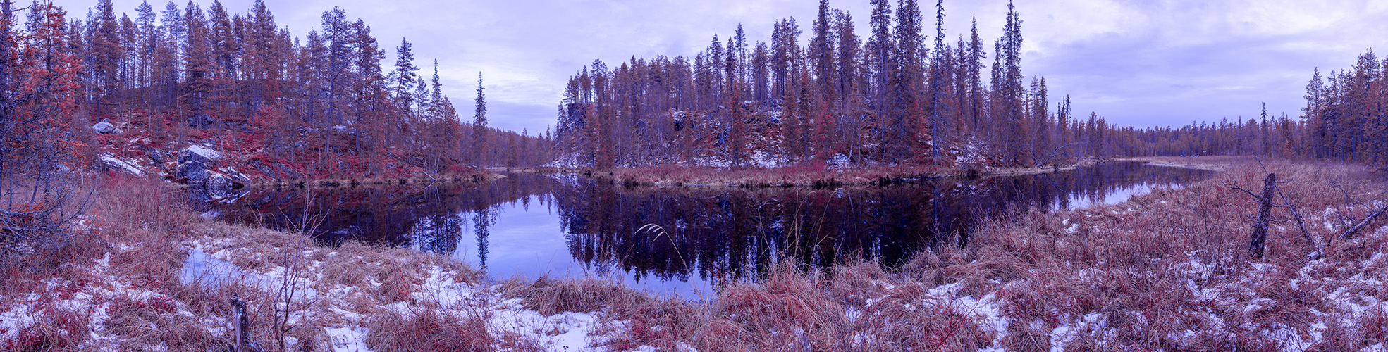 IR-modatulla kameralla kuvattu panoraamakuva, jossa näkyy vesistöä ja puita. Kuva on punaisen ja violetin sävyinen.